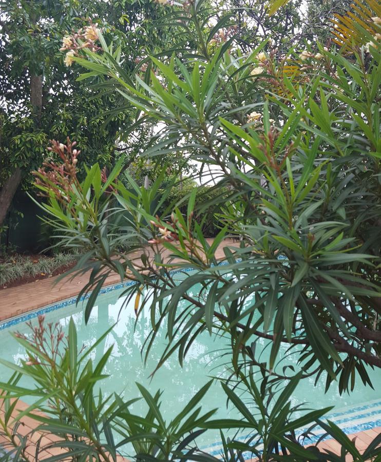 Old N New Bed & Breakfast Umhlanga Rocks エクステリア 写真