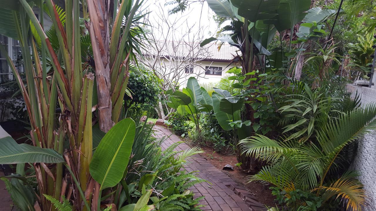 Old N New Bed & Breakfast Umhlanga Rocks エクステリア 写真